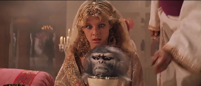 Monkey Braind Primate Parfait