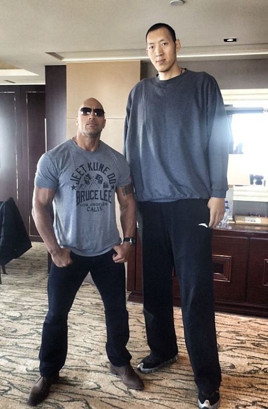The Tall Chinese Man in Rush Hour 3 with the rock